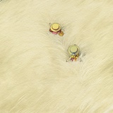 c决明子c