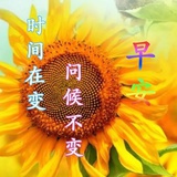 谁盗走了我在爱