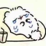 咩咩狗