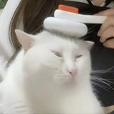 南一