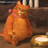 烈骑士野猫