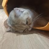 烟雨江南