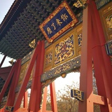 老豆