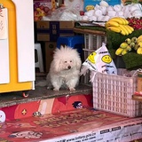 欠费三个月不还