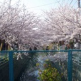 水语