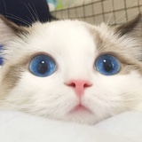 忘了