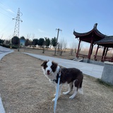 豆友十一