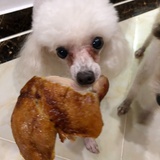 爱绵绵