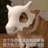 拼拼可凉