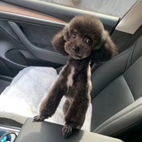 HE