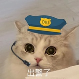 已跑路