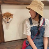 吃瓜路人甲
