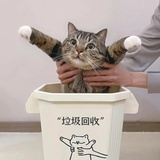 潜仪