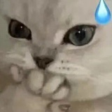 大雄
