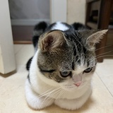 甜小善