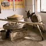 煎饼果子加蛋