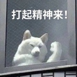 下一秒就暴富