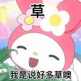 蓝莓小火车