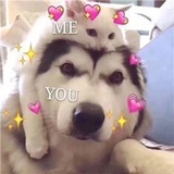 安宁