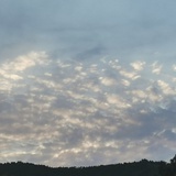 灰灰