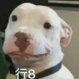 o哦
