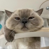 Kevin