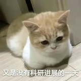 学医太难了