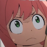 疯鸟