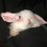 もしもし