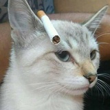 hhhh