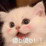BfikX