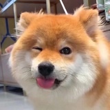 困于每天