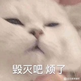 谨慎的momo