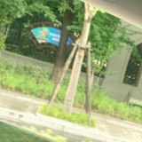 爱看古装