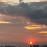 五月