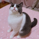居居宝