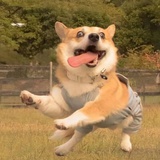 慎独的美男子