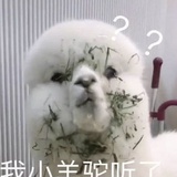 嗨~