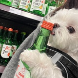 蛋包