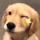 保命要紧