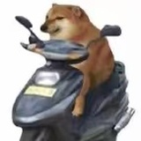 77