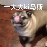 狗神降临w