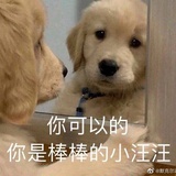 不要靠近小狗勾