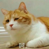 豆友g8J5W52q90