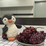 科技美