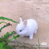 开心每一天