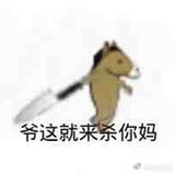 TF家族 刘志宏