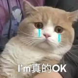 又想喝奶茶咯