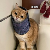 小猫耶^