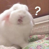 阿北你没事儿吧